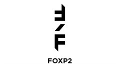 FoxP2 shines at 2020 Creative Circle Ads of the Year ceremony