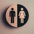 Gender classification: Workplace adaptation without discrimination