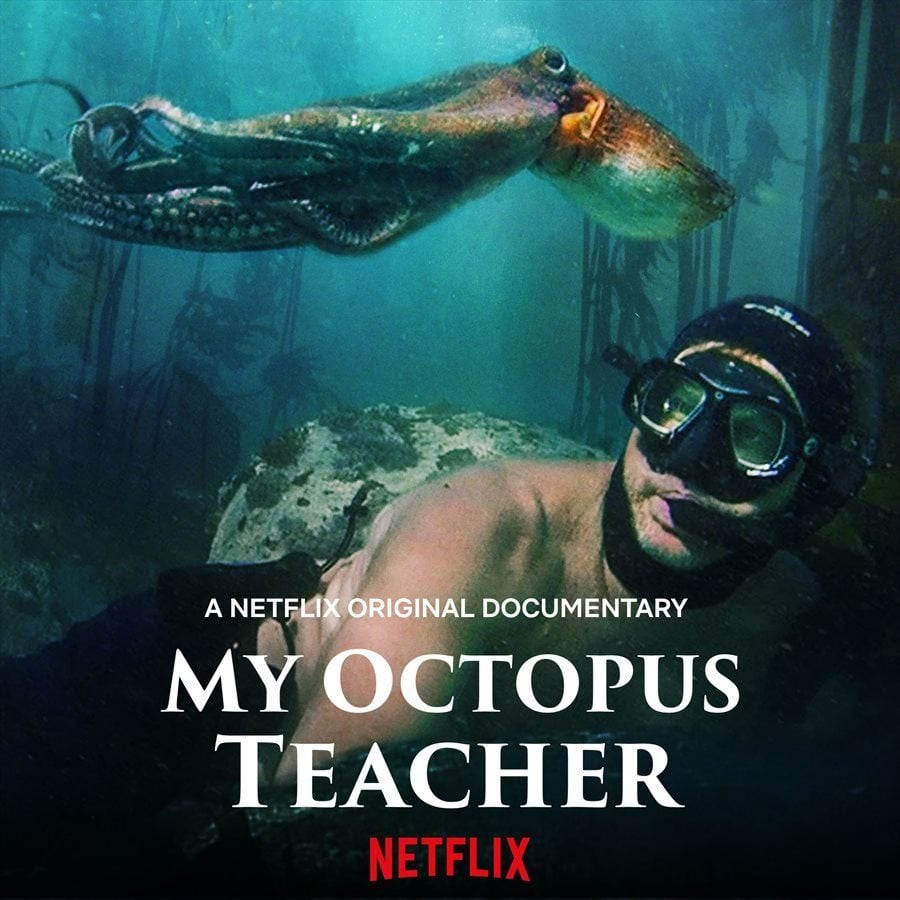 Afda alumnus and colourist Kyle Stroebel on Oscar nomination for My Octopus Teacher