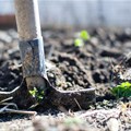 New forum launched for global soil health