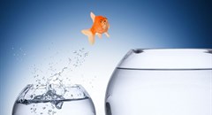 2 main reasons almost half of SA's employees are considering a new job