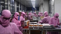 Workers at India’s biggest syringe manufacturer ramp up production in September 2020 in race to meet Covid-19 vaccine-driven demand. Photo by SAJJAD HUSSAIN/AFP via Getty Images
