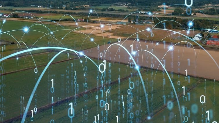 Technological advances can help manage more efficient, sustainable and accountable farming practices. (Shutterstock)