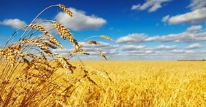 Good financial decisions will ensure SA agriculture survival when the bad times