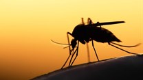 Malaria eradication by 2025, an achievable goal