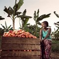 Global competition invites startups, enterprises to change the face of food systems