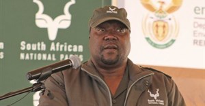 SANParks CEO on special leave following sexual assault allegations