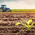 What SA agriculture needs from international trade