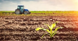 What SA agriculture needs from international trade