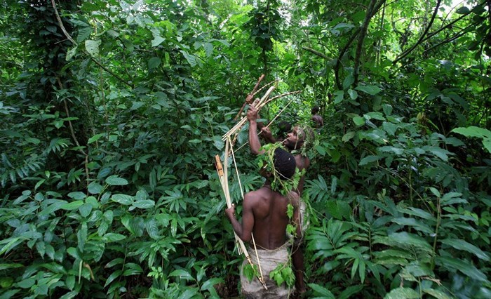Ugandan pygmies hunt in Bundibugyo district's Semiliki national park rain forest, west of the capital Kampala, August 8, 2006. REUTERS/James Akena