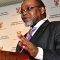 Mineral resources and energy minister, Gwede Mantashe. Image: