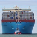 SA importers, and the rising cost of vessels and containers