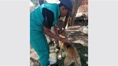 NWU animal health hospital bolsters service offerings
