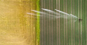 Big irrigation projects in Africa have failed to deliver. What's needed next