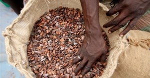 Ivory Coast sells 2021/2022 cocoa contracts after wrangle over premium