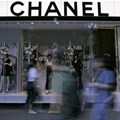 Luxury fashion label Chanel invests $25m in new climate adaptation fund