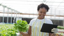 Platform launched to support women and youth in agriculture