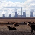 Cows graze as steam rises from the cooling towers of Matla Power Station, a coal-fired power plant operated by Eskom in Mpumalanga province, South Africa, 20 May, 2018. Reuters/Siphiwe Sibeko/File Photo