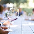 Vinpro survey shows SA wine industry in dire straits