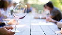 Vinpro survey shows SA wine industry in dire straits