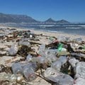 Local study finds ships a major source of litter on SA beaches