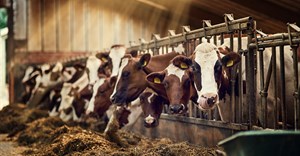 Nestlé's first net zero carbon emissions dairy farm on track to reach targets