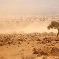 Insights for African countries from the latest climate change projections