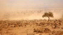Insights for African countries from the latest climate change projections