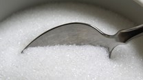 Sugar industry reiterates commitment to transformation