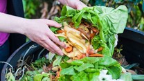 We throw away a third of the food we grow - here's what to do about waste