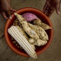 How to put women at the centre of Africa's food systems