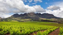 Infrastructure investment gives Cape Winelands economy a boost