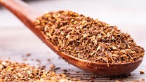 SA's rooibos industry receives EU certificate of registration for PDO