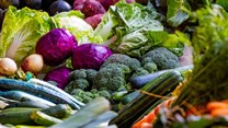 SA needs a solution-driven approach to ensure access to safe and healthy food