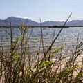6,000 people sign petition demanding City of Cape Town comes clean on water quality