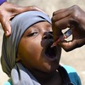 A child gets a dose of the oral polio vaccine. Simon Maina/AFP via Getty Images