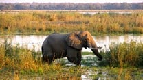 NGOs seek to halt proposed mining activities in Zambia's Lower Zambezi National Park