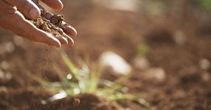 Healthy soils are crucial for sustainable agri-food systems - FAO