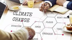 Now is the time to include an environmental focus in grantmaking strategies in Africa
