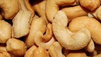 Global demand for cashews is booming. How Ghana can take advantage to create jobs