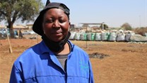 Tembisa mom turns illegal dumpsite into vegetable garden