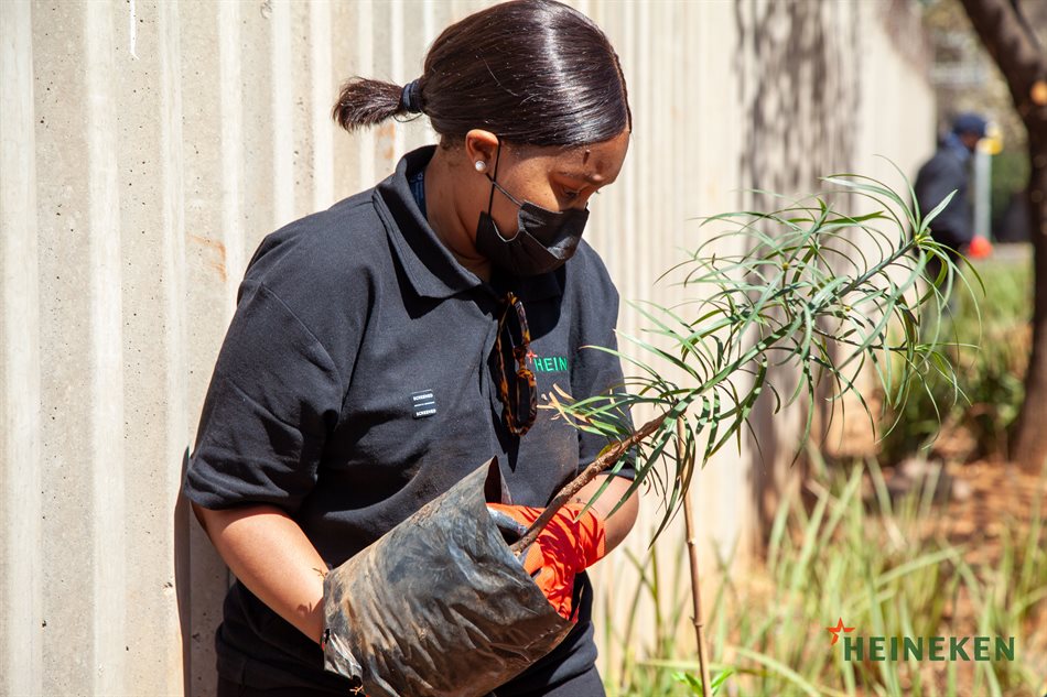 Heineken SA adds some green to the City of Gold