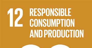 SDG 12: Ensure sustainable consumption and production patterns
