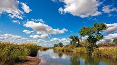 SanParks announces free access week dates for 2021