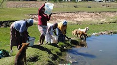 Taps run dry in the village of Mandela's childhood home
