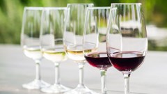 Five-star wines for 2022 edition announced