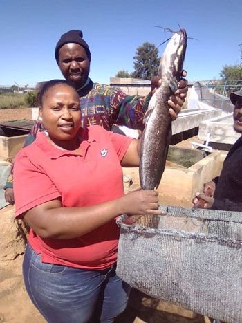 Aquaponics farming helps Free State farmers living with disabilities sustain livelihoods