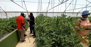 Aquaponics farming helps Free State farmers living with disabilities sustain livelihoods