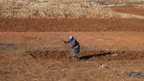 Amendment to allow land expropriation without compensation fails to pass