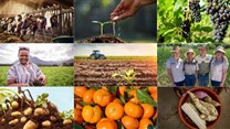 #BestofBiz 2021: Agriculture